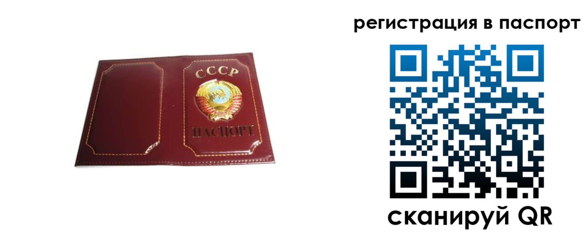 прописка 2025 в Краснодаре